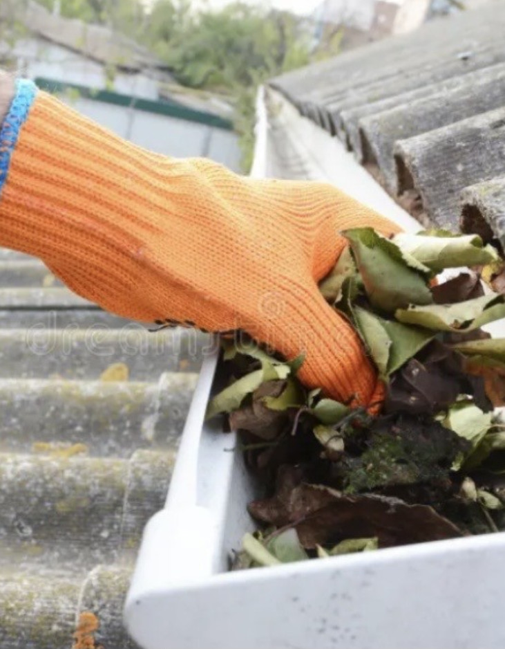 Gutter Cleaning Services
